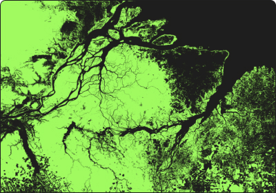 image of Carbon offset company 